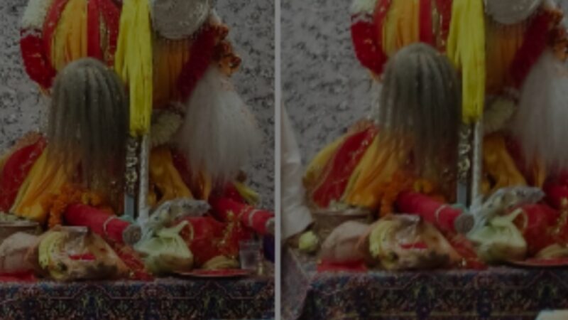 बाबा विश्वनाथ जगदीश शीला डोली यात्रा के लिए पछवादून में व्यापक तैयारी की गई
